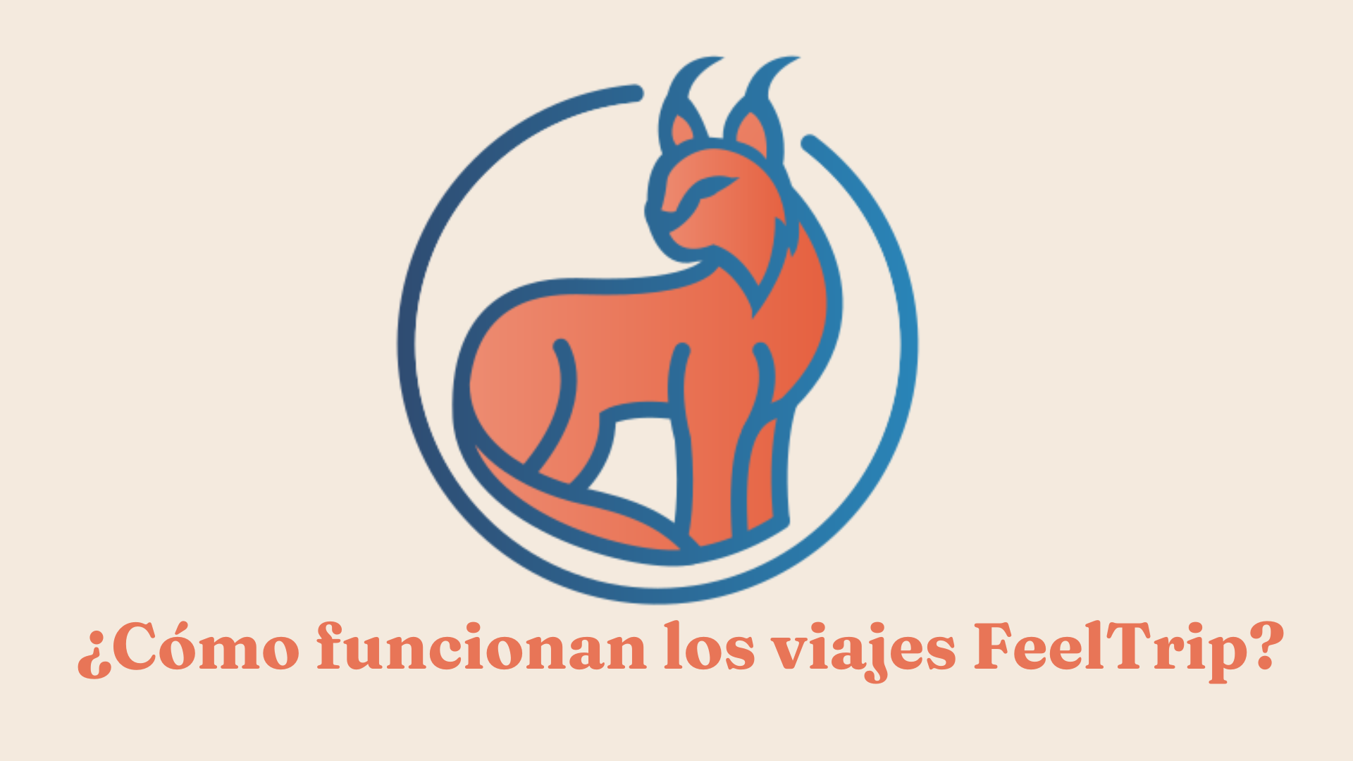 La Magia de FeelTrip